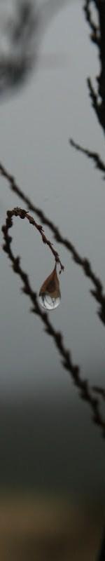 A Water Drop